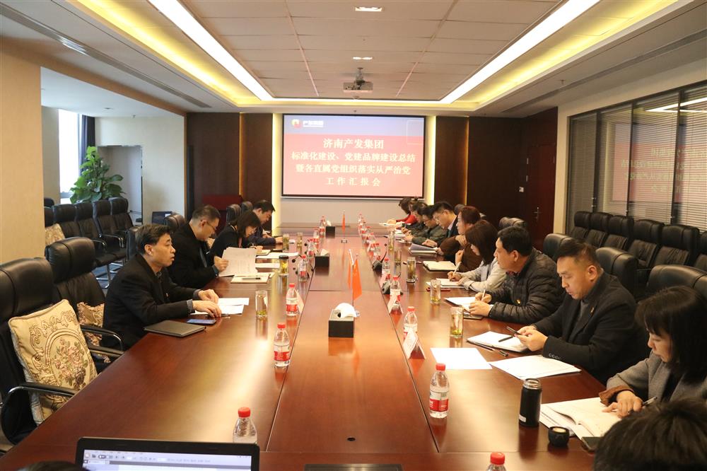 集團黨委召開黨組織標準化建設、 黨建品牌建設活動總結(jié)暨各直屬黨組織落實從嚴治黨工作匯報會議