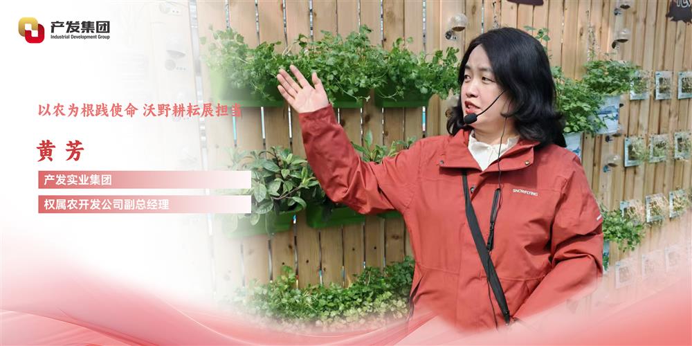 巾幗綻芳華 | 產(chǎn)發(fā)實(shí)業(yè)集團(tuán)權(quán)屬農(nóng)開發(fā)公司 黃芳：以農(nóng)為根踐使命，沃野耕耘展擔(dān)當(dāng)